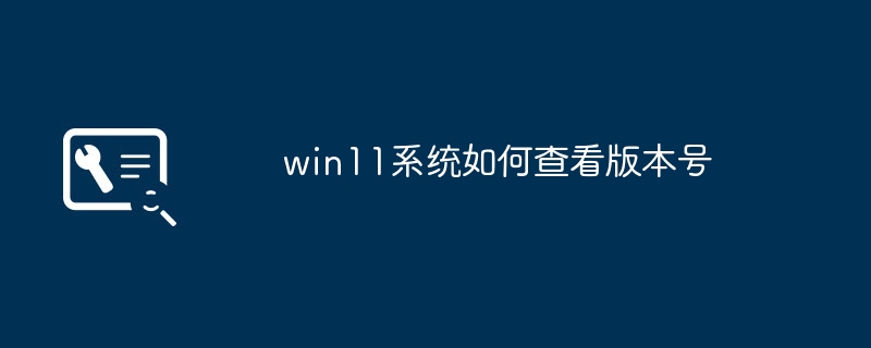 win11系统如何查看版本号