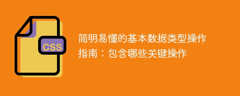 基本数据类型操作的简易指南：重要操作指引