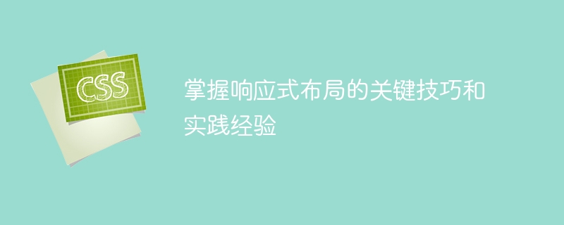 掌握响应式布局的关键技巧和实践经验
