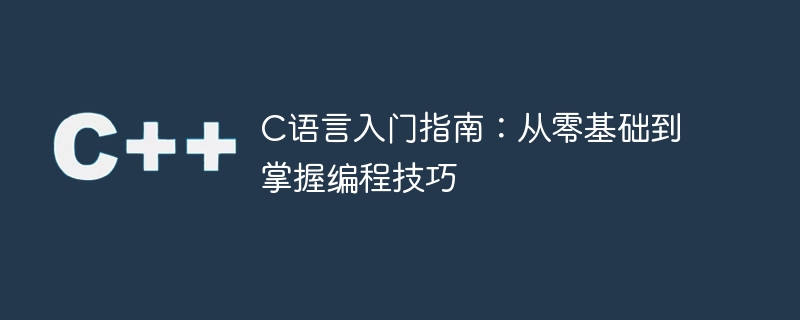探索C语言：从初学者到编程专家