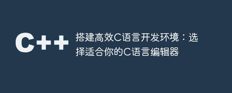 选择合适的编辑器，打造高效的C语言开发环境