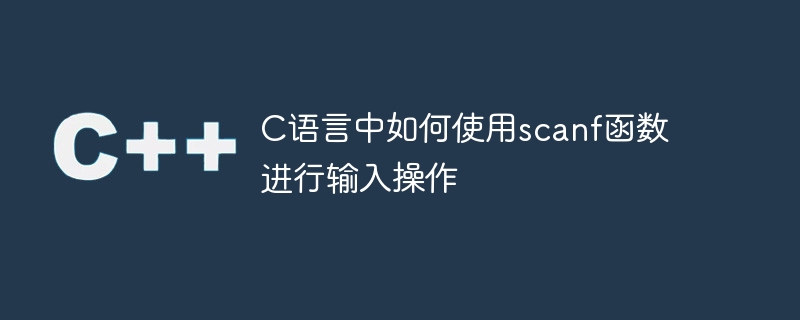 如何在C语言中使用scanf函数进行用户输入