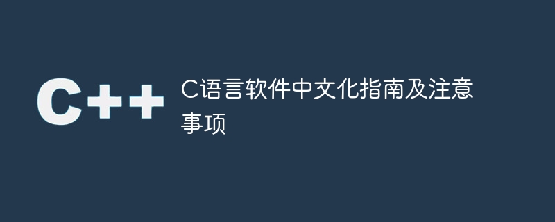 C语言软件中文化指南及注意事项