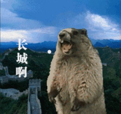 守护之心燃遍凛冬！《魔域》公益新玩法，让爱无界！