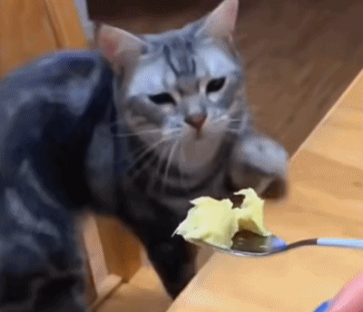 米哈游翻车了？《绝区零》节奏不止，到底哪出问题了？