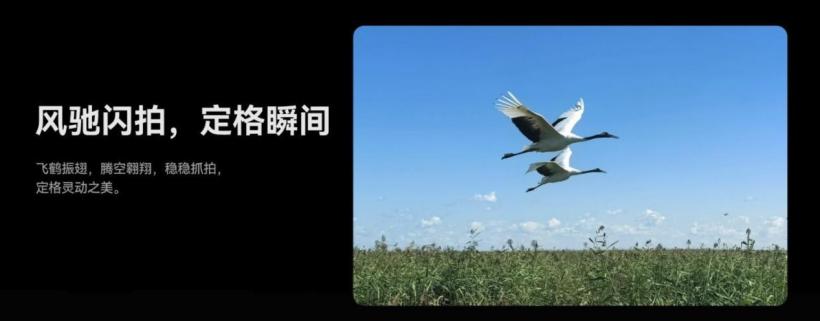 华为 Mate 60 系列迎来秋日礼遇活动：全系入手价只需 4999 元起