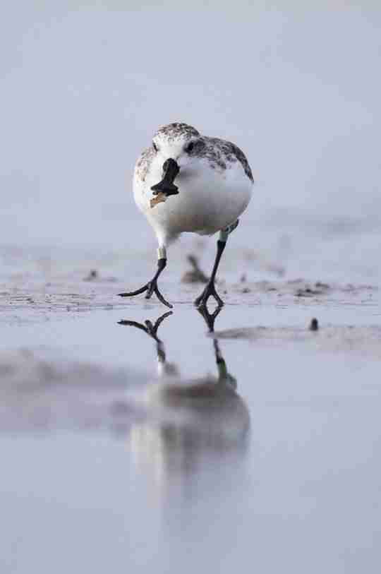 99公益节一起玩游戏做好事，各路豪杰集聚争夺月下第一人殊荣！