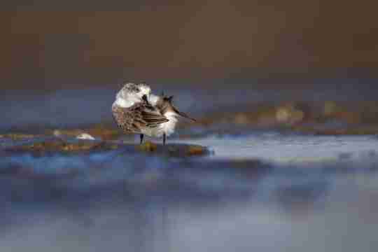 99公益节一起玩游戏做好事，各路豪杰集聚争夺月下第一人殊荣！