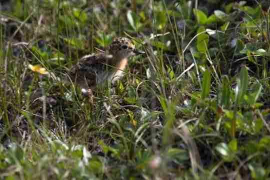 99公益节一起玩游戏做好事，各路豪杰集聚争夺月下第一人殊荣！