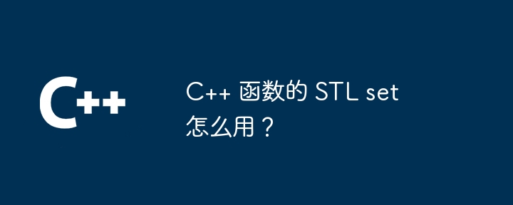 C++ 函数的 STL set 怎么用？
