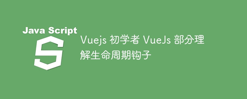 Vuejs 初学者 VueJs 部分理解生命周期钩子