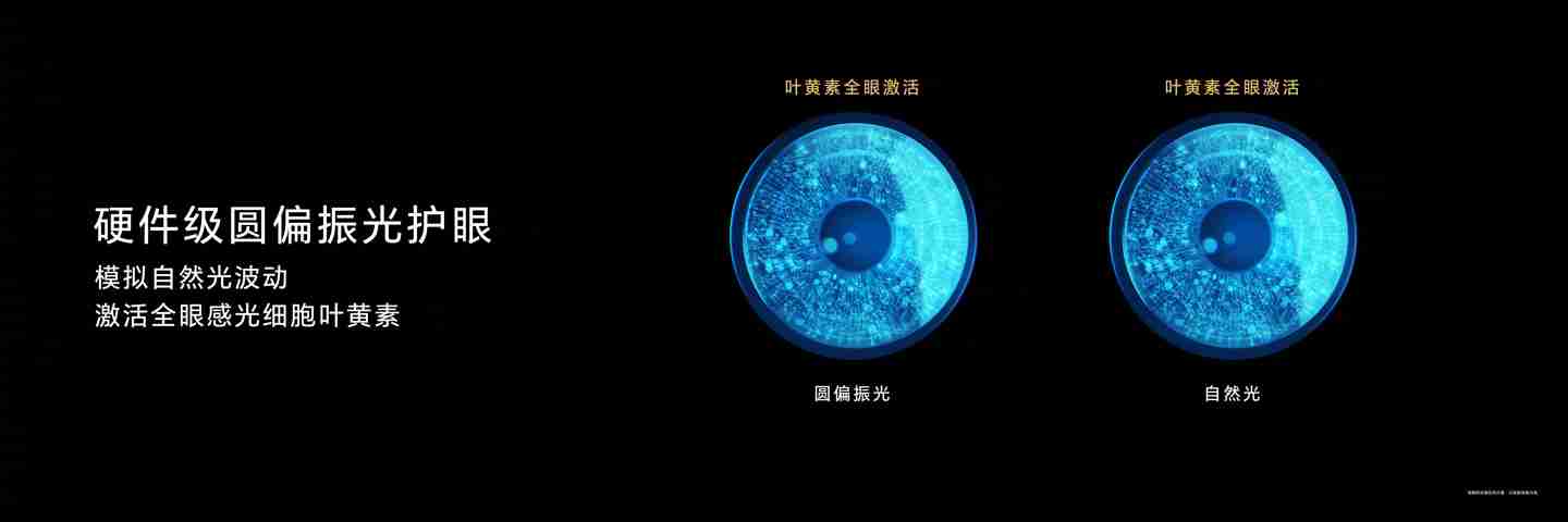 荣耀 Magic7 系列手机搭载 8T LTPO 屏幕，通过德国莱茵 TÜV 全局护眼 4.0 认证