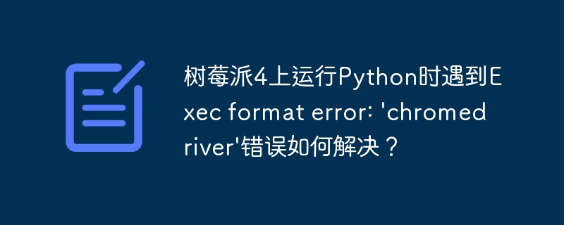 树莓派4上运行python时遇到exec format error: 'chromedriver'错误如何解决？