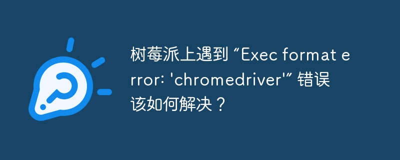 树莓派上遇到 “Exec format error: ‘chromedriver’” 错误该如何解决？