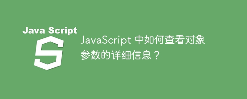 javascript 中如何查看对象参数的详细信息？