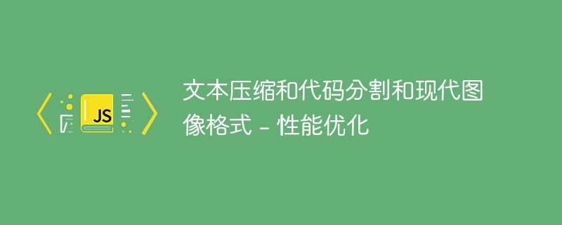 文本压缩和代码分割和现代图像格式 – 性能优化