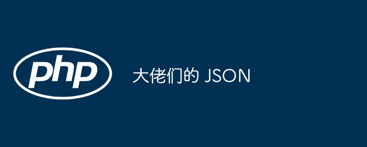 大佬们的 json