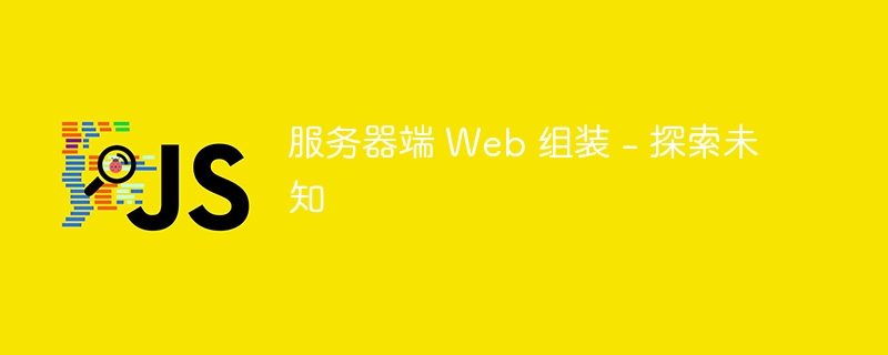 服务器端 Web 组装 – 探索未知