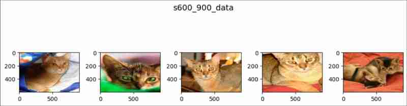 pytorch中的随机溶剂（1）