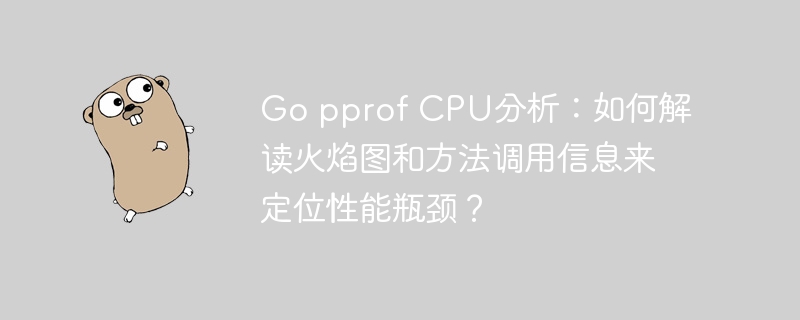 Go pprof CPU分析：如何解读火焰图和方法调用信息来定位性能瓶颈？