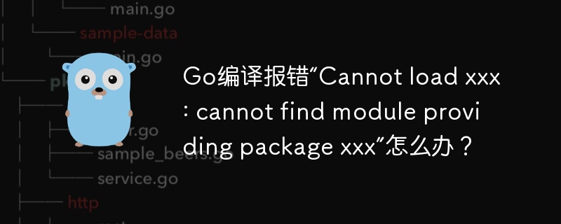 Go编译报错“Cannot load xxx: cannot find module providing package xxx”怎么办？