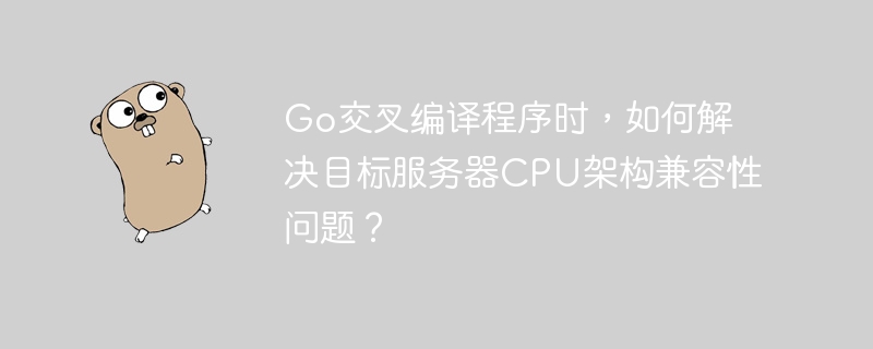 Go交叉编译程序时，如何解决目标服务器CPU架构兼容性问题？