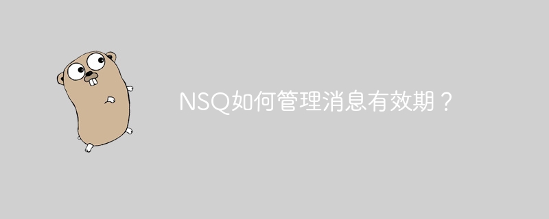 NSQ如何管理消息有效期？