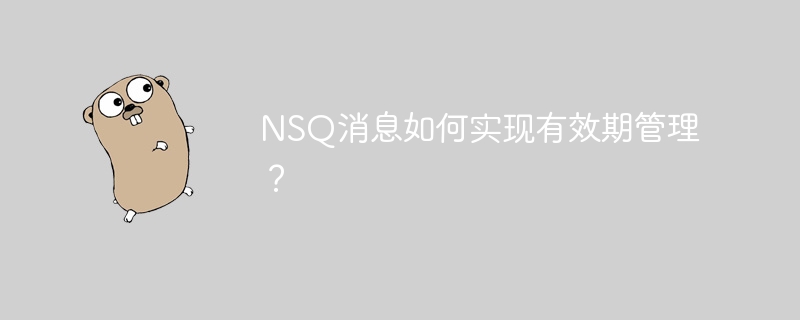 NSQ消息如何实现有效期管理？
