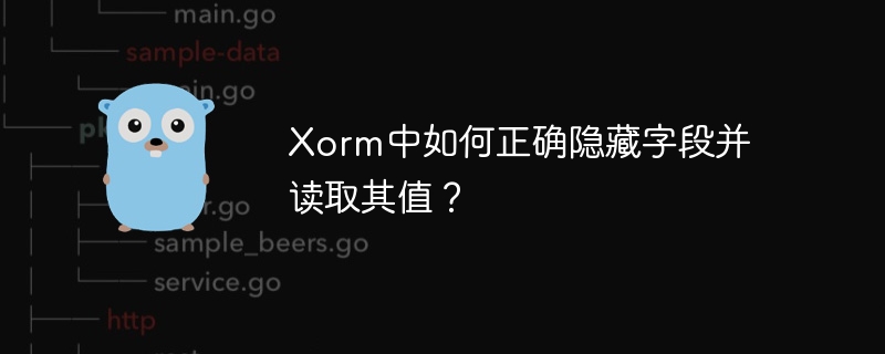 Xorm中如何正确隐藏字段并读取其值？
