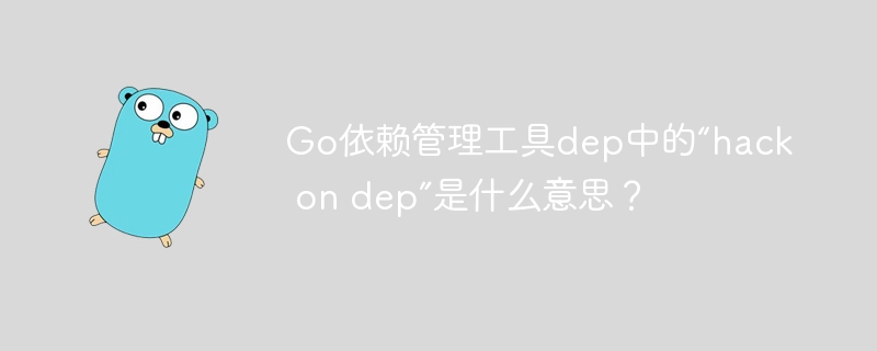 Go依赖管理工具dep中的“hack on dep”是什么意思？