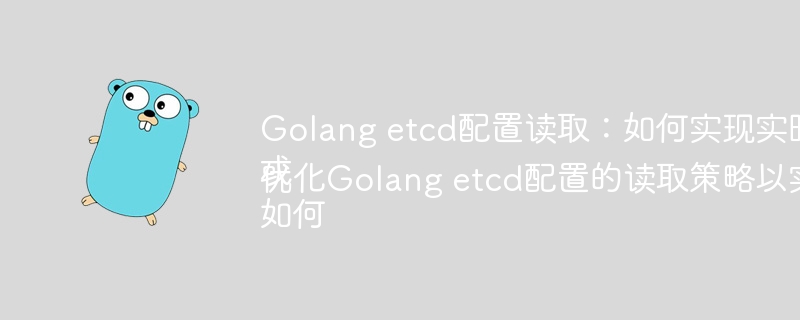 Golang etcd配置读取：如何实现实时更新？
或
如何优化Golang etcd配置的读取策略以实现实时更新？