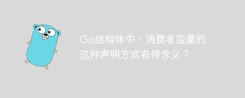 Go结构体中，消费者变量的这种声明方式有何含义？