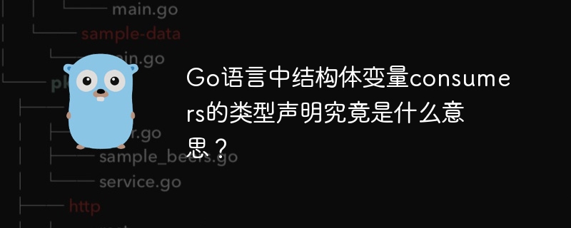 Go语言中结构体变量consumers的类型声明究竟是什么意思？