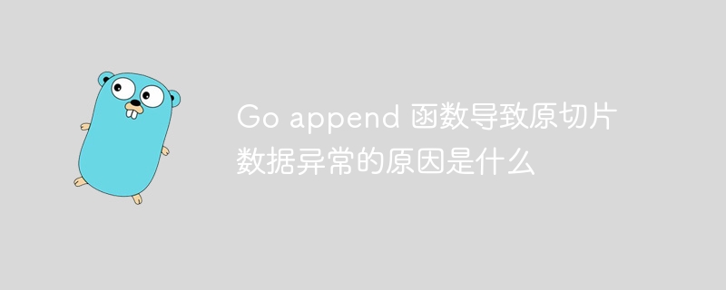 Go append 函数导致原切片数据异常的原因是什么