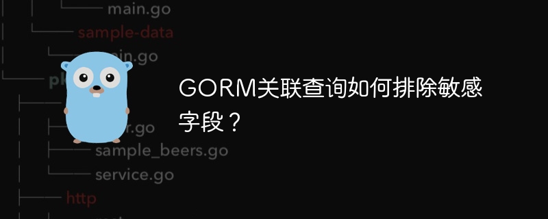 GORM关联查询如何排除敏感字段？