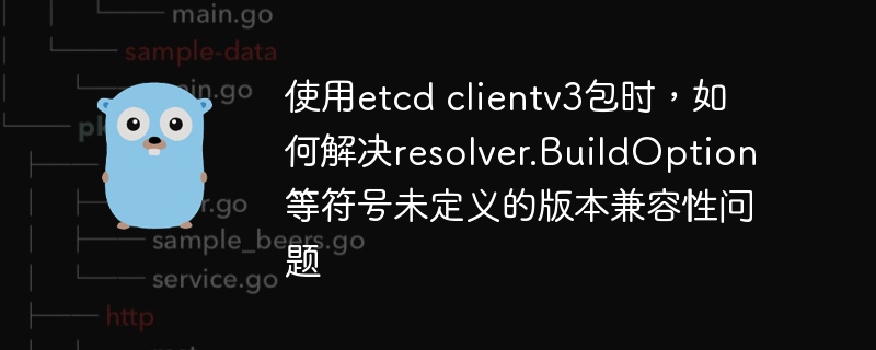 使用etcd clientv3包时，如何解决resolver.BuildOption等符号未定义的版本兼容性问题