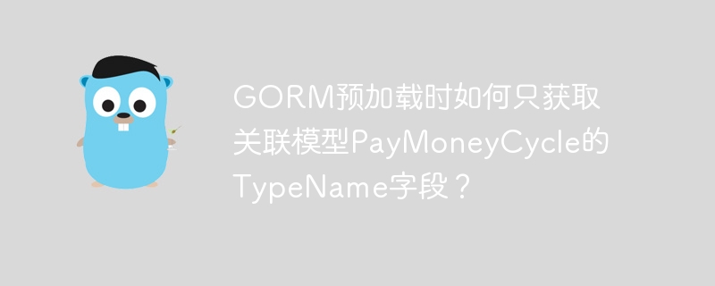 GORM预加载时如何只获取关联模型PayMoneyCycle的TypeName字段？
