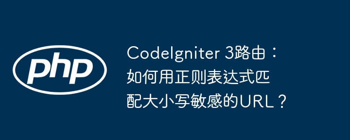 codeigniter 3路由：如何用正则表达式匹配大小写敏感的url？