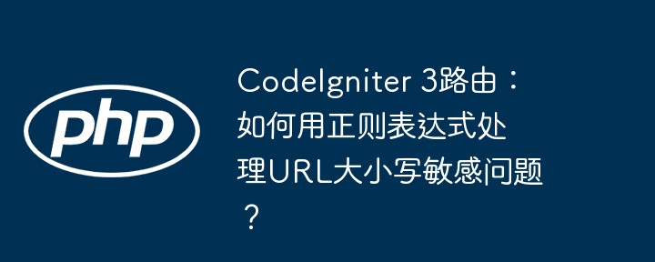 codeigniter 3路由：如何用正则表达式处理url大小写敏感问题？