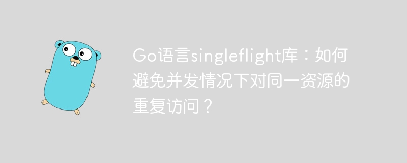 Go语言singleflight库：如何避免并发情况下对同一资源的重复访问？