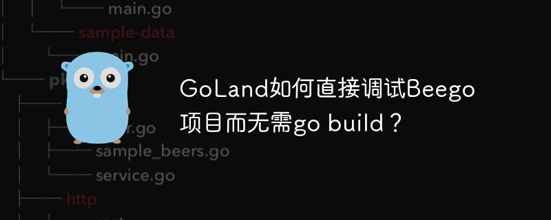 GoLand如何直接调试Beego项目而无需go build？