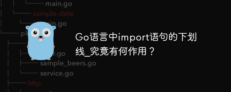 Go语言中import语句的下划线_究竟有何作用？