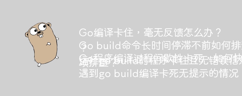 Go编译卡住，毫无反馈怎么办？
Go build命令长时间停滞不前如何排查？
Go程序编译过程间歇性卡死，如何快速解决？
运行go build时程序卡住且无错误信息，用什么方法调试？
遇到go build编译卡死无提示的情况，如何利用 -v 选项排查？
