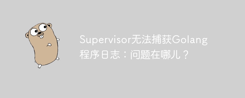 Supervisor无法捕获Golang程序日志：问题在哪儿？