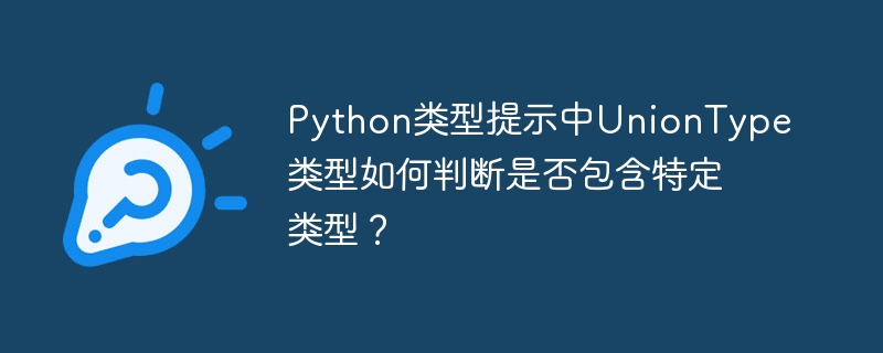 python类型提示中uniontype类型如何判断是否包含特定类型？