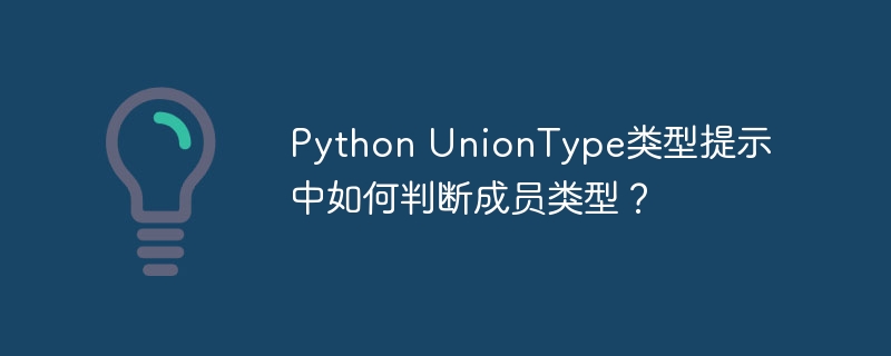 Python UnionType类型提示中如何判断成员类型？