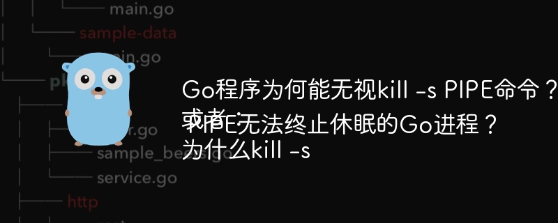 Go程序为何能无视kill -s PIPE命令？
或者：
为什么kill -s PIPE无法终止休眠的Go进程？