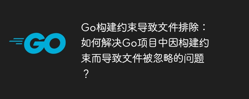 Go构建约束导致文件排除：如何解决Go项目中因构建约束而导致文件被忽略的问题？