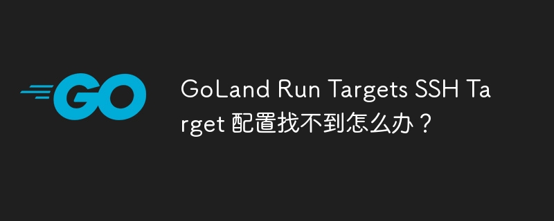 GoLand Run Targets SSH Target 配置找不到怎么办？