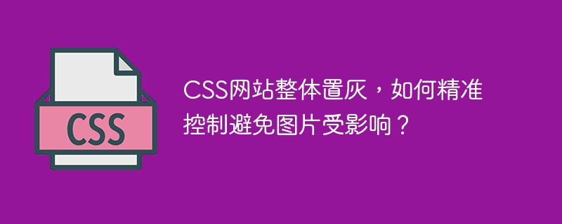 CSS网站整体置灰，如何精准控制避免图片受影响？